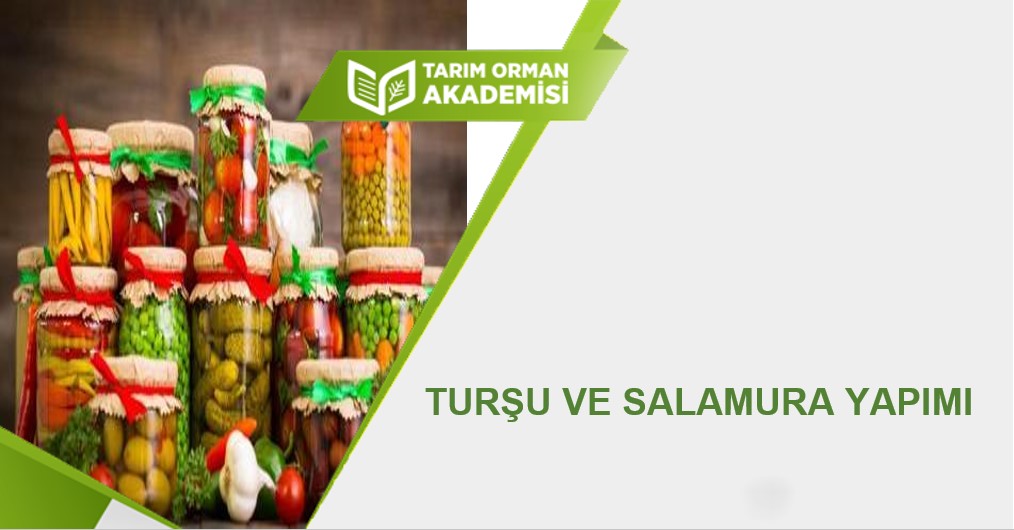 Turşu ve Salamura Yapımı