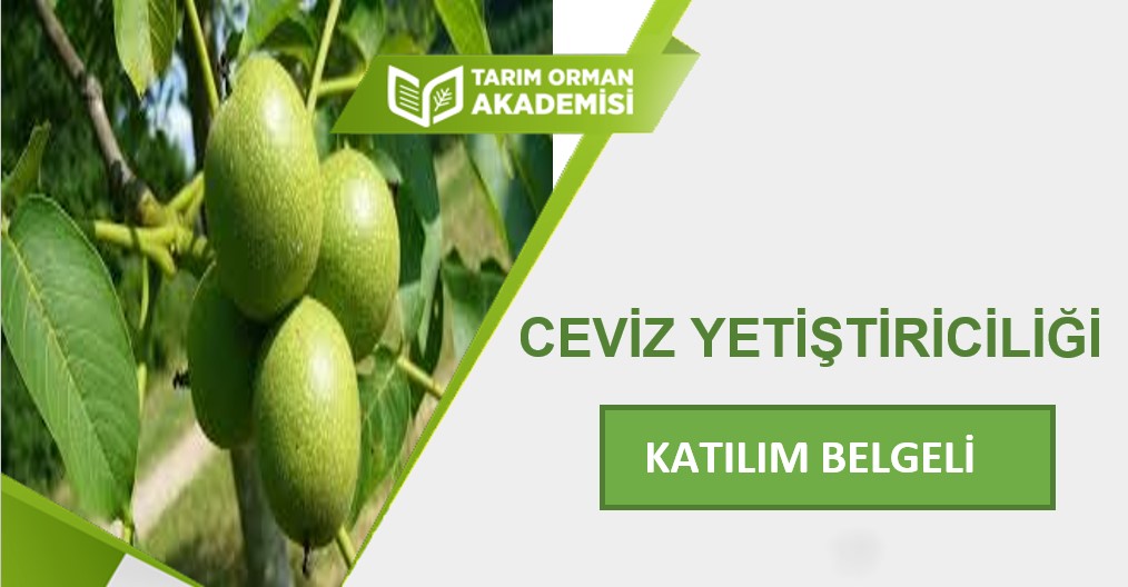Ceviz Yetiştiriciliği 