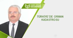 Türkiye'de Orman Kadastrosu ve Mülkiyeti